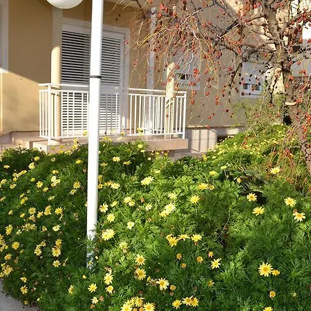 Апартаменти Sanda *